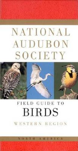 Cover image for National Audubon Society Field Guide to North American Birds--W: Western Region - Revised Edition