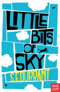 Cover image for Little Bits of Sky