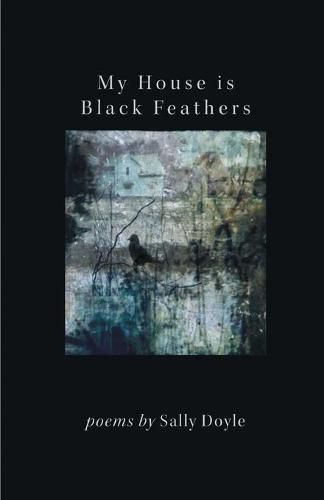 Cover image for My House is Black Feathers
