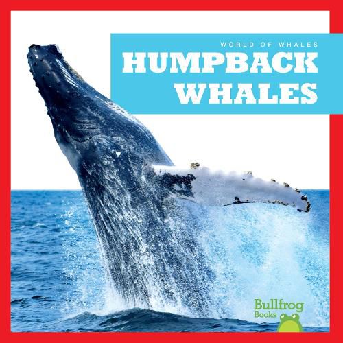 Cover image for Humpback Whales