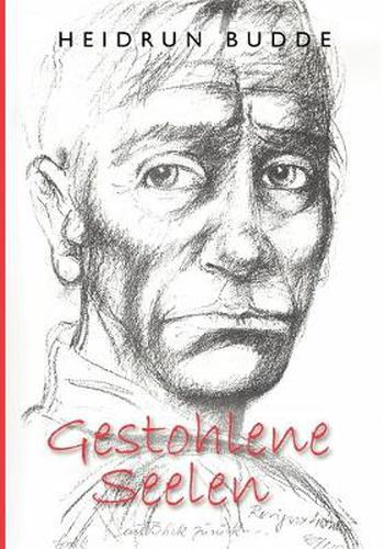 Cover image for Gestohlene Seelen