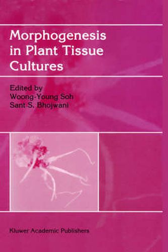 Cover image for Morphogenesis in Plant Tissue Cultures