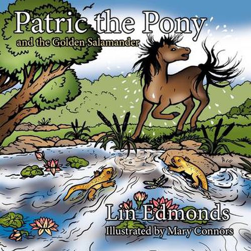 Cover image for Patric the Pony and the Golden Salamander