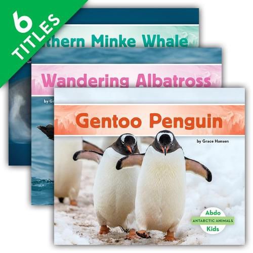 Cover image for Antarctic Animals (Set)