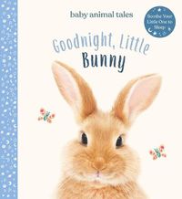 Cover image for Goodnight, Little Bunny
