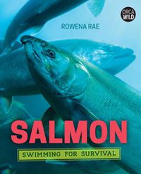 Cover image for Salmon: Swimming for Survival