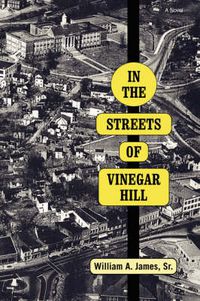 Cover image for In The Streets Of Vinegar Hill