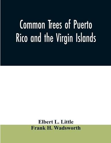 Cover image for Common trees of Puerto Rico and the Virgin Islands