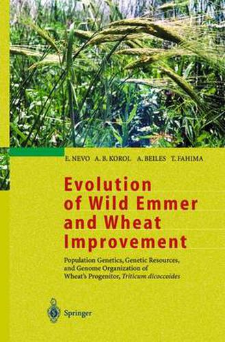 Cover image for Evolution of Wild Emmer and Wheat Improvement: Population Genetics, Genetic Resources, and Genome Organization of Wheat's Progenitor, Triticum dicoccoides