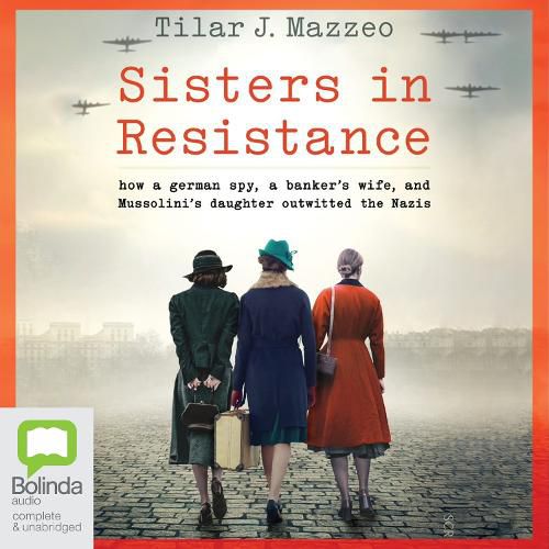 Cover image for Sisters in Resistance