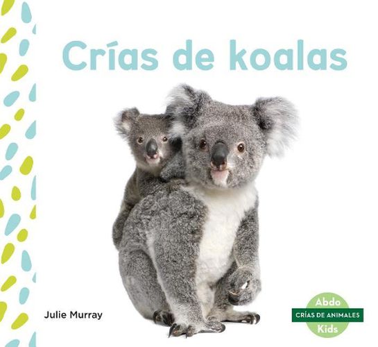 CriAs De Koalas / Koala Joeys