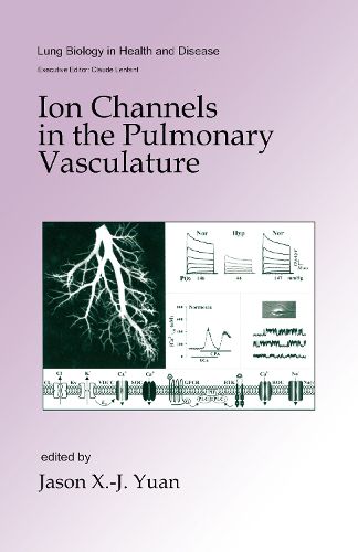 Cover image for Ion Channels in the Pulmonary Vasculature