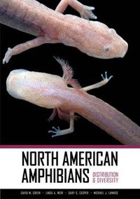 Cover image for North American Amphibians: Distribution and Diversity