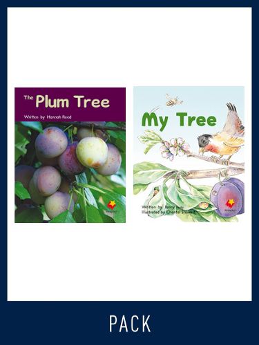 Cover image for Flying Start Guided Reading Pack Level 7, Pack 5: Paired student books (6x6) and lesson plan (1)