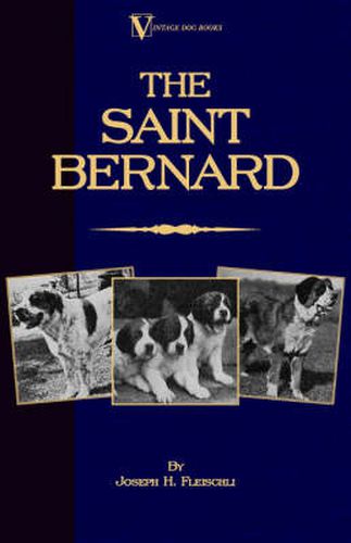 Cover image for The Saint Bernard - A Presentation of the Origin, History and Development of This Noble Breed, Along With a Discussion of Its Care, Showing, Physical Perfection, Kenneling, Training, Uses and Dispositions (A Vintage Dog Books Breed Classic)