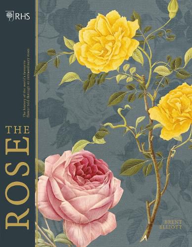 Cover image for RHS The Rose: The history of the world's favourite flower in 40 roses