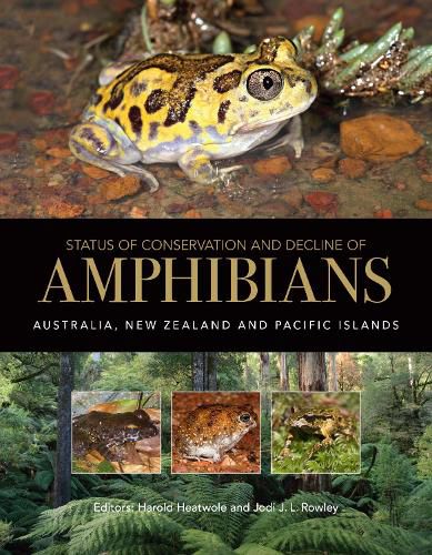 Cover image for Status of Conservation and Decline of Amphibians: Australia, New Zealand, and Pacific Islands