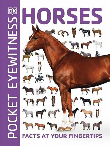 Pocket Eyewitness Horses: Facts at Your Fingertips