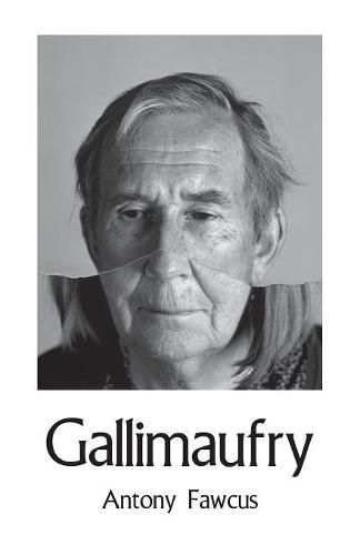 Cover image for Gallimaufry