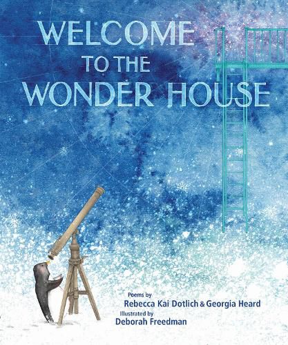 Cover image for Welcome to the Wonder House
