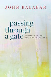 Cover image for Passing through a Gate