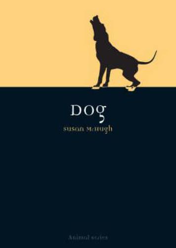 Cover image for Dog
