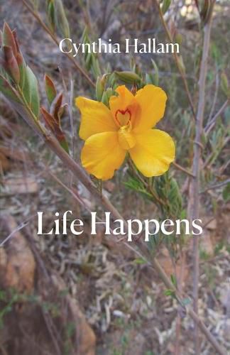 Cover image for Life Happens