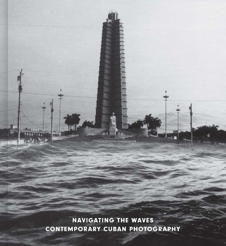 Cover image for Navigating the Waves