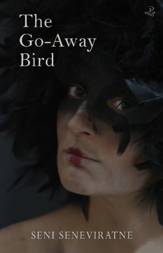Cover image for The Go-Away Bird