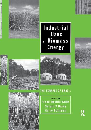 Cover image for Industrial Uses of Biomass Energy: The Example of Brazil