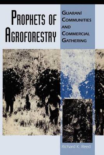 Cover image for Prophets of Agroforestry: Guarani Communities and Commercial Gathering
