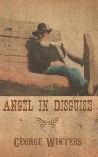 Cover image for Angel in Disguise