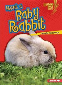 Cover image for Meet a Baby Rabbit