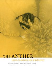 Cover image for The Anther: Form, Function and Phylogeny