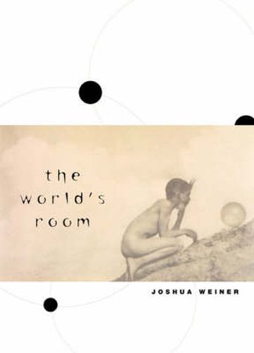 Cover image for The World's Room