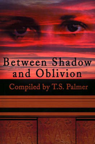 Cover image for Between Shadow and Oblivion