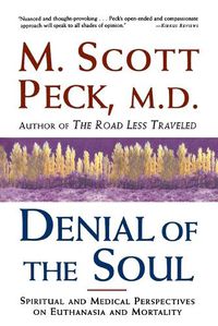 Cover image for Denial of the Soul: Spiritual and Medical Perspectives on Euthanasia and Mortality