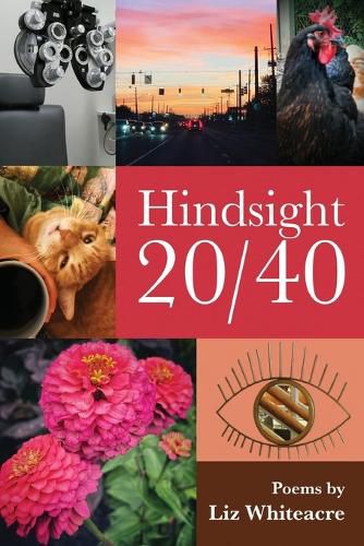 Cover image for Hindsight 20/40