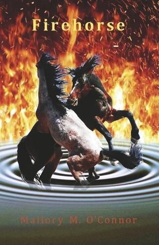 Cover image for Firehorse