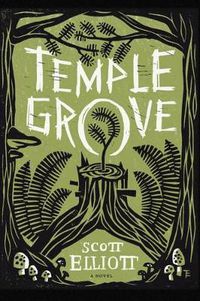 Cover image for Temple Grove: A Novel