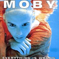 Cover image for Everything Is Wrong