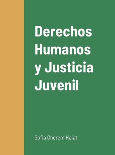 Cover image for Derechos Humanos y Justicia Juvenil