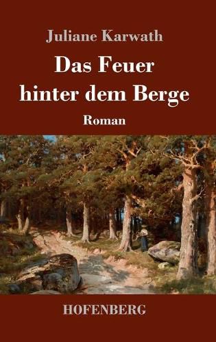 Cover image for Das Feuer hinter dem Berge: Roman