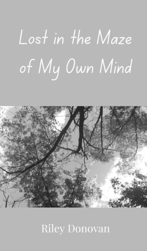 Cover image for Lost in the Maze of My Own Mind