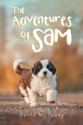 Cover image for The Adventures of Sam