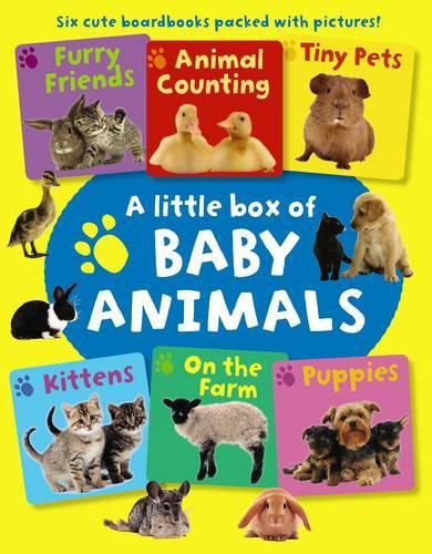 Cover image for Little Box of Baby Animals