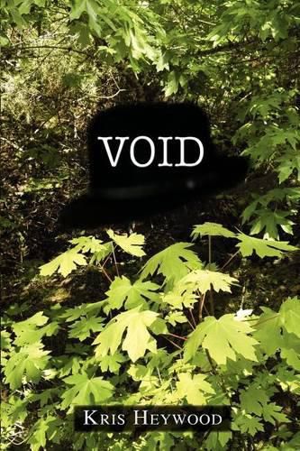 Cover image for Void