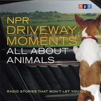Cover image for NPR Driveway Moments All about Animals: Radio Stories That Won't Let You Go