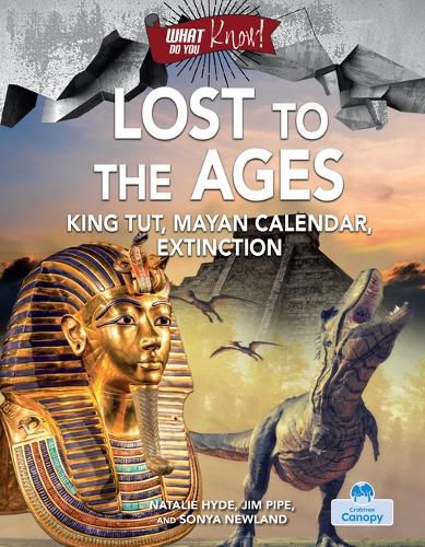 Cover image for Lost to the Ages