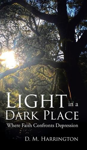 Cover image for Light in a Dark Place: Where Faith Confronts Depression